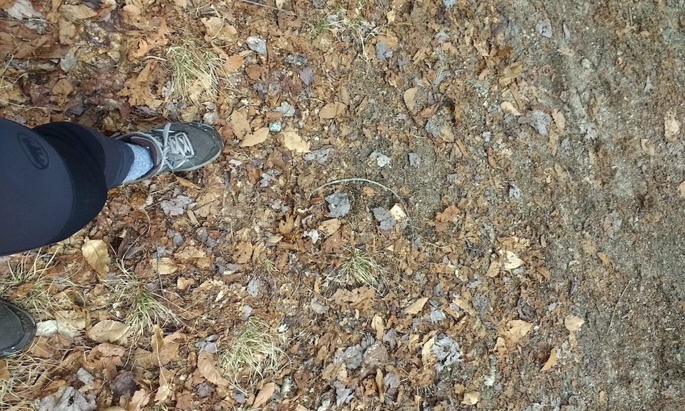 Old trail runner shoe