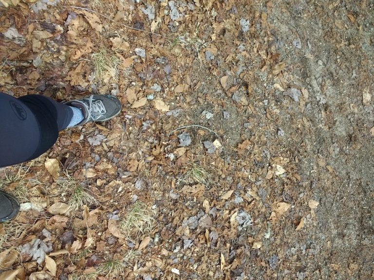 Old trail runner shoe